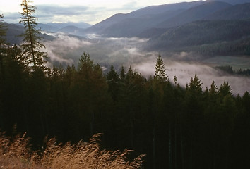 Image showing Fog in Valley