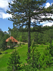 Image showing Mountain house