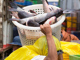 Image showing Worker carrying fish at market