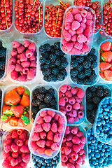 Image showing Berries in boxes.