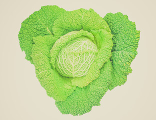 Image showing Retro look Green cabbage