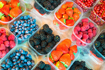 Image showing Berries in boxes.