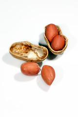 Image showing peanut