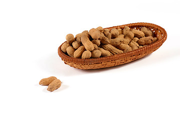 Image showing Peanut