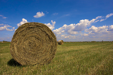 Image showing Haystack