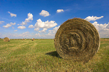 Image showing Haystack