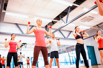 Image showing group of people working out with dumbbells