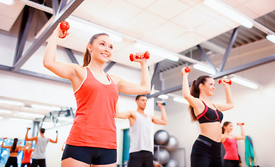 Image showing group of people working out with dumbbells