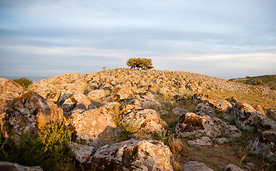 Image showing galilee landscape