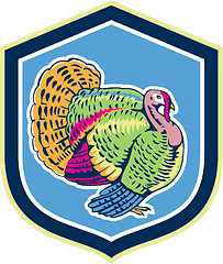 Image showing Wild Turkey Side View Shield Retro