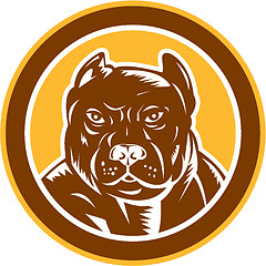Image showing Pitbull Dog Mongrel Head Circle Woodcut