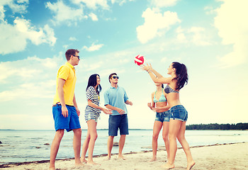 Image showing group of friends having fun on the beach