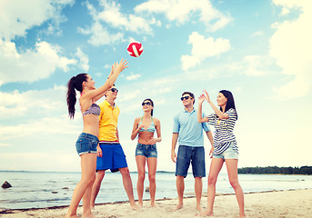 Image showing group of friends having fun on the beach