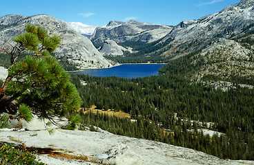 Image showing Yosemite National Park