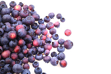 Image showing blueberries isolated on the white background