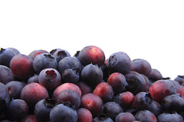 Image showing blueberries isolated on the white background