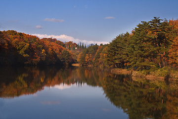 Image showing Autumn splendour