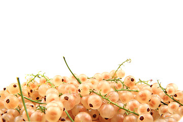 Image showing white currant isolated 