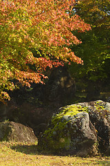 Image showing Autumn rocks corner