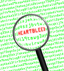 Image showing Heartbleed revealed in computer code through a magnifying glass 