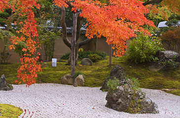 Image showing Autumn Japanese garden