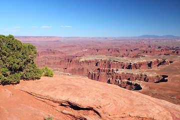Image showing Canyonlands National Park