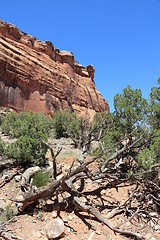 Image showing Colorado National Monument