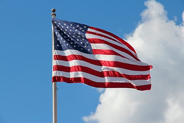 Image showing Flag of USA