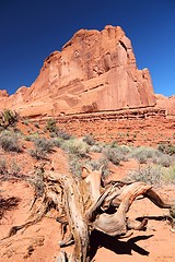 Image showing Arches, USA