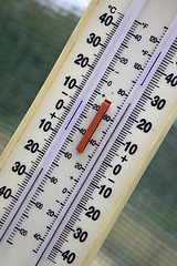 Image showing Greenhouse thermometer