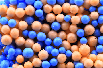 Image showing abstract molecule background