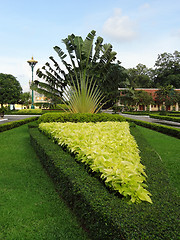 Image showing Phnom Penh