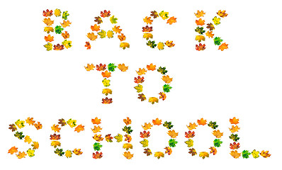 Image showing B A C K  T O  S C H O O L text composed of autumn maple leafs