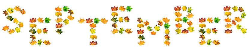 Image showing S E P T E M B E R text composed of autumn maple leafs