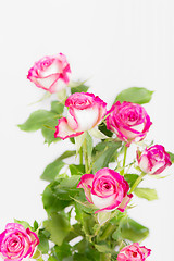 Image showing Bouquet of pink rose flowers