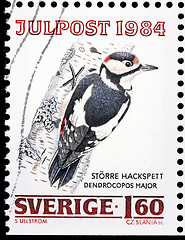 Image showing Woodpecker Stamp