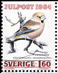 Image showing Hawfinch Stamp