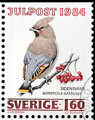 Image showing Bohemian Waxwing Stamp