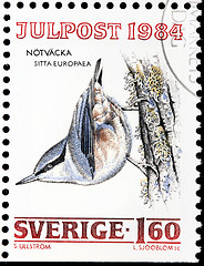 Image showing Eurasian Nuthatch Stamp