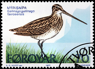 Image showing Common Snipe Stamp