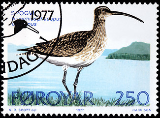 Image showing Whimbrel Stamp