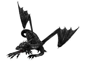 Image showing Black Dragon