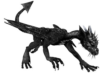 Image showing Black Dragon