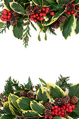Image showing Holly Border