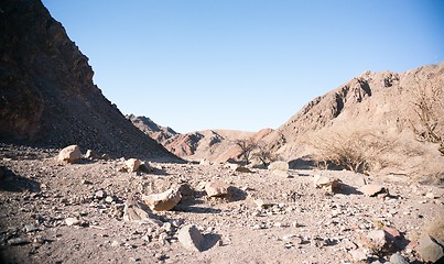 Image showing Stone desert in Israel