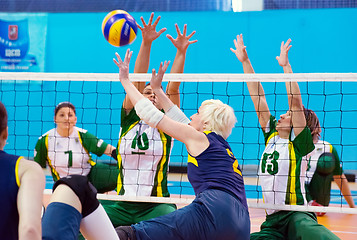 Image showing Angela Churkina, captain of Ukraine team of sitting volleyball