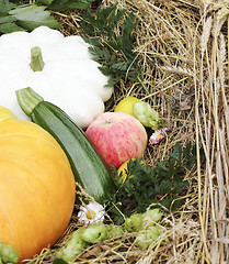 Image showing Autumn goodies