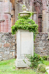 Image showing Very old gravestone with green leaves