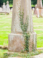 Image showing Very old gravestone with green leaves