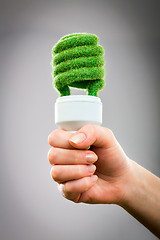 Image showing Concept Eco light bulb